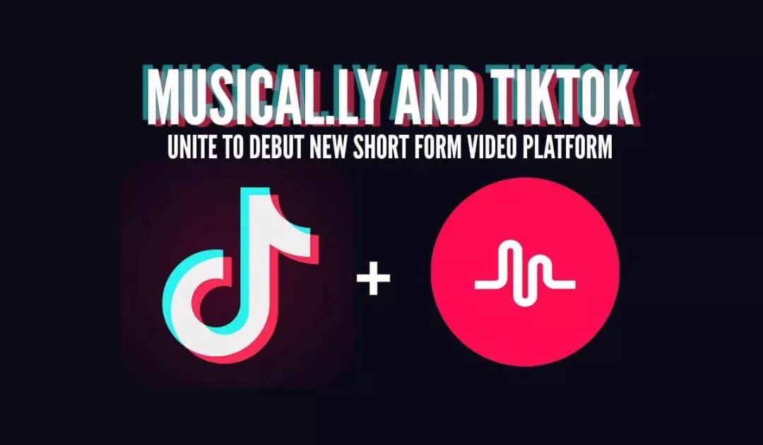 抖音海外版_TikTok_荷兰监管机构_数据安全-4