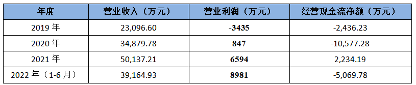 科创板_京仪装备_财务数据-19