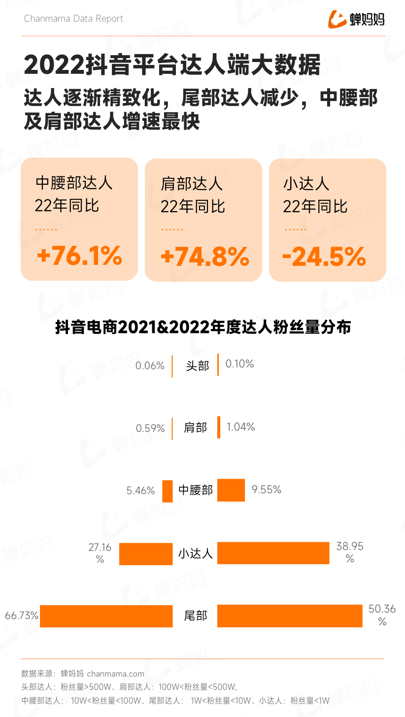 蝉大师_抖音2022电商年度报告_全域电商-2