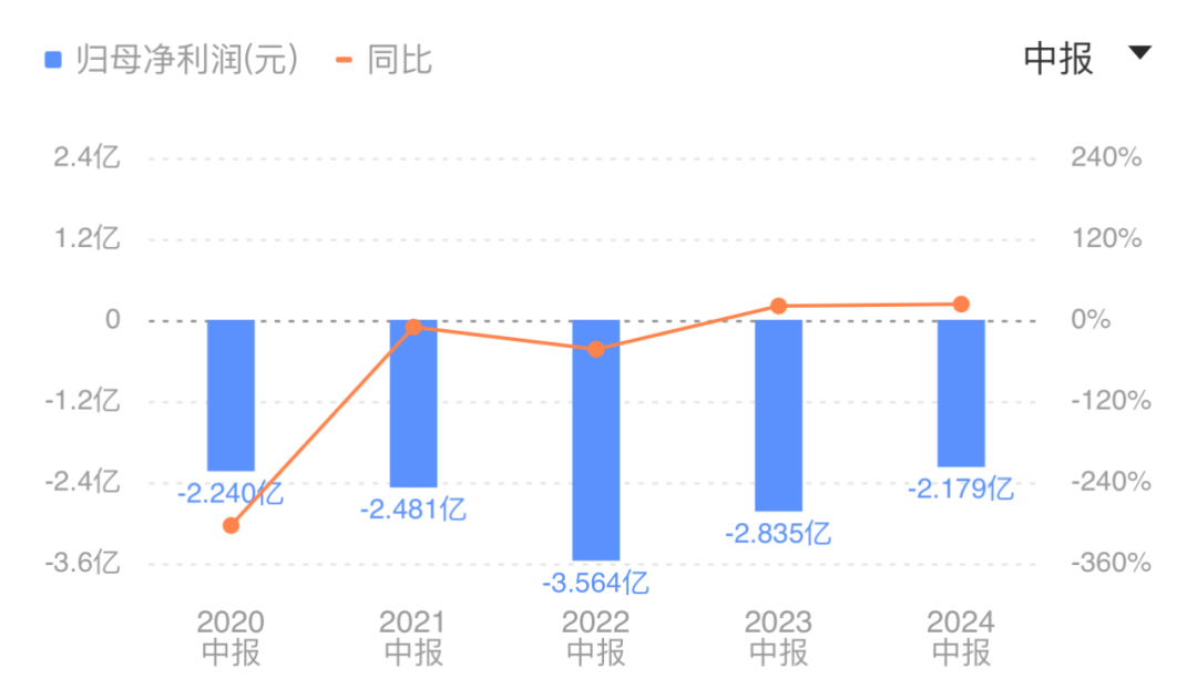 金蝶_2024_上半年营收_云服务行业-3