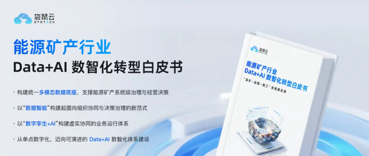 能源博弈时代，企业如何构建治理与决策的Data+AI数智化运营体系？