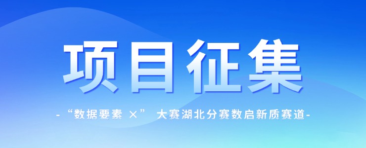2026年“数据要素×”大赛湖北分赛数启新质赛道项目征集令
